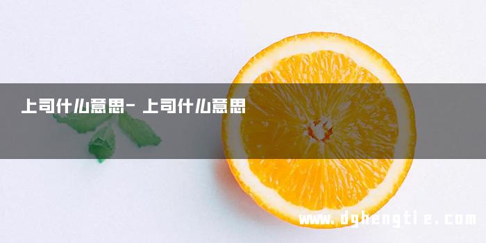 上司什么意思-上司什么意思 